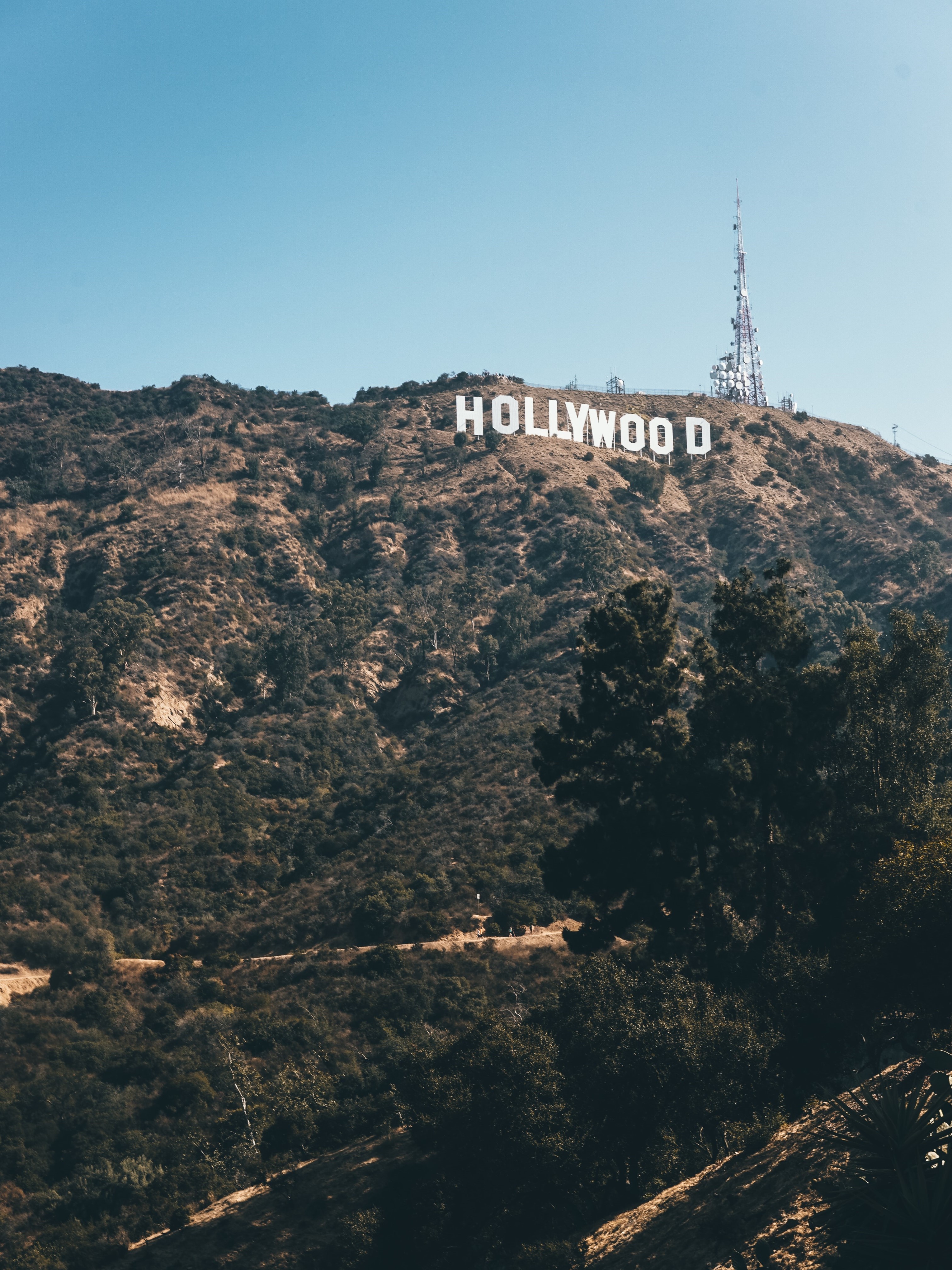 The Hollywood Sign